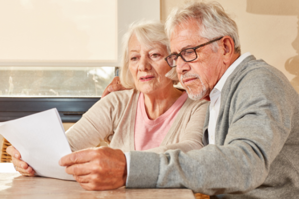 Sindnapi - Sindicato Nacional dos Aposentados, Pensionistas e Idosos